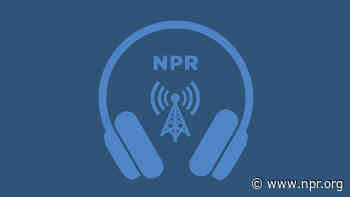 Lilla Lanivich, 13, of Rochester Hills, Mich., wins NPR podcast contest