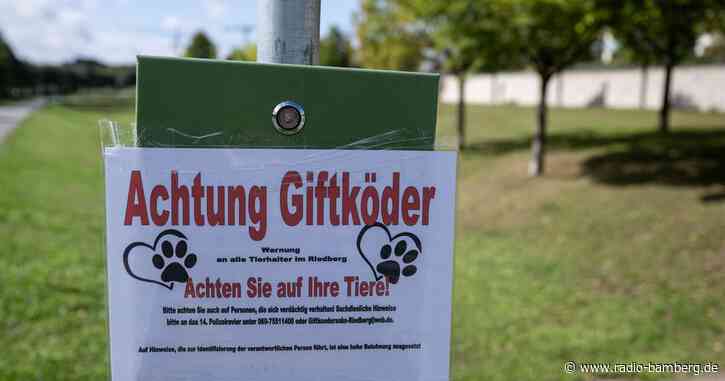 Hund stirbt nach Vergiftung mit Rattengift