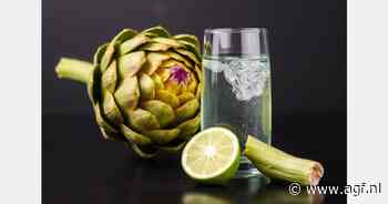 Artisjokwater, de nieuwe gezondheidstrend