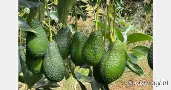 "Het wordt een seizoen om nooit te vergeten"