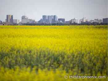 Opinion: Canada's electric vehicle dispute with China hits canola farmers