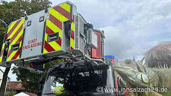 Leguan „Micky“ sorgt für Feuerwehreinsatz in Freilassing