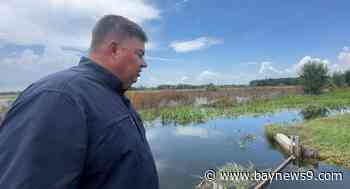 As city works to mitigate flooding concerns in northern Plant City, resident says Debby flooding left damage to his property