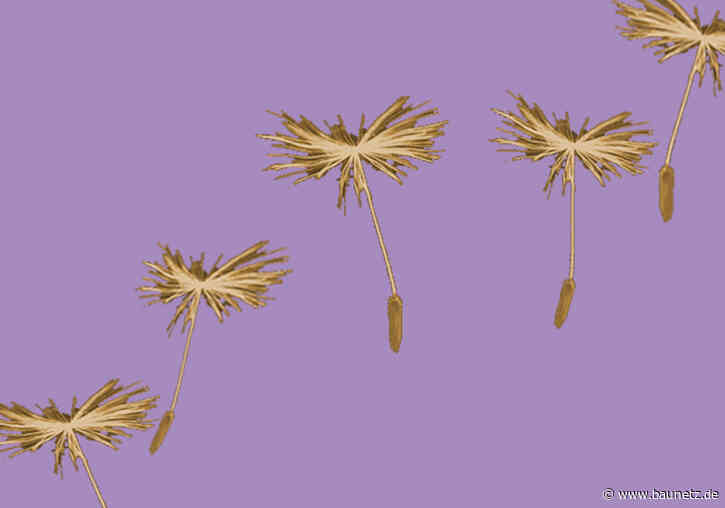 Gemeinwohl-Einsatz sichtbar machen
 - Themenabend in Frankfurt am Main