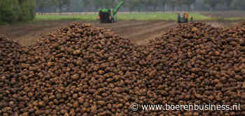 Europese zetmeeloogst naar laagste punt in 8 jaar