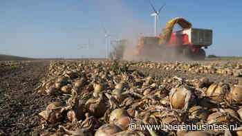 Boot voor Afrika brengt leven in de brouwerij