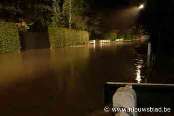 Ondergelopen straten, omgewaaide bomen en gezinnen zonder elektriciteit: hevig onweer veroorzaakt veel ellende