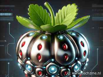 Open-source lost OpenAI’s ‘strawberry’-probleem alvast op