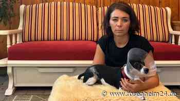 Brutale Biss-Attacke in Albaching: Lebt in der Gemeinde ein „gefährlicher Problem-Hund“?