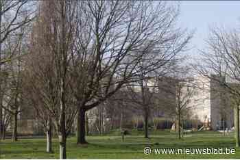 Vijftig nieuwe budgethuurwoningen op Rozemaai, AG Vespa doet marktoproep voor externe partner