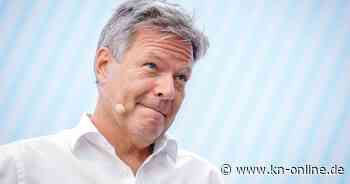 Temu und Shein: Habecks Aktionsplan gegen die Unternehmen ist kein großer Wurf