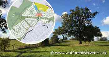 Company shares map of how potential 700-home development could look