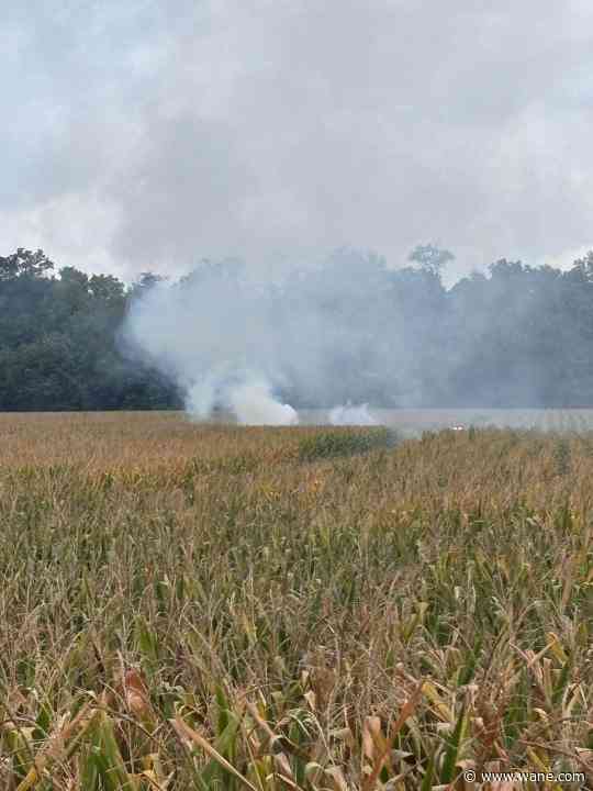 'No survivors' after plane crashes in Anderson