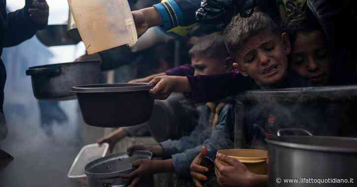 “Persone a rischio malnutrizione in aumento, anche per guerre a Gaza e in Sudan”: il report del Global Network contro la crisi alimentare