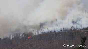 Löschflugzeug im Einsatz: Waldbrand im Harz hüllt Brocken in riesige Rauchwolke