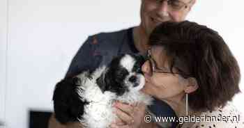 5000 euro armer maar bejaard hondje Indy kan weer jaren vooruit: ‘Dol op haar’