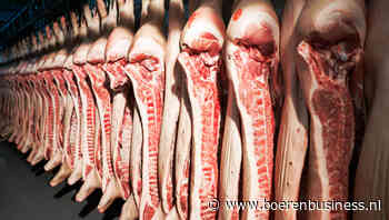 Varkensmarkt houdt nieuw vertrouwen vast