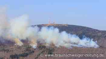 Waldbrand im Harz: 500 Personen werden vom Brocken evakuiert