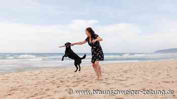 Urlaub mit Hund: „Ohne mein Haustier, ohne mich“