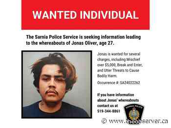 Man wanted by Sarnia police surrenders at courthouse