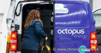 Octopus Energy offers up to £200 support for state pensioners missing out on Winter Fuel Payments