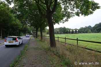 Potenzielles Bauland am Angelmodder Weg von der Liste gestrichen