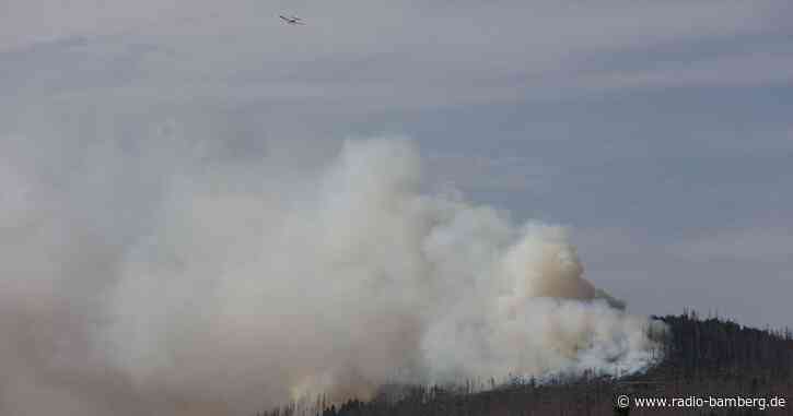 Waldbrand im Harz – 500 Menschen vom Brocken geholt