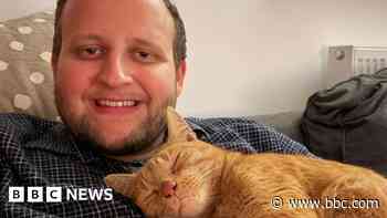 Missing cat rescued from recycling centre