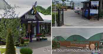 5 of the best garden centres to visit around Bournemouth, Christchurch and Poole