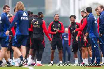 Analisten vallen in katzwijm voor Rode Duivel: "Een groot wonder is hij"