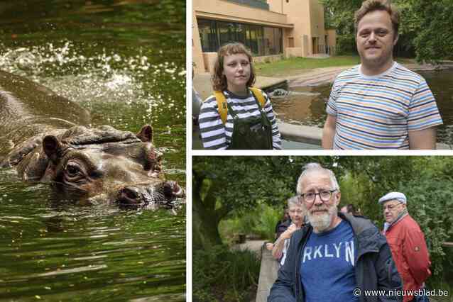 Velen willen nijlpaard Hermien nog laatste keer bezoeken voor zoo haar laat inslapen: “Het viel me al op dat hier zo veel volk stond”