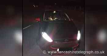 Police take action after Ford spotted 'driving erratically'