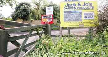 Gateshead café fights to survive as council planning enforcement looms
