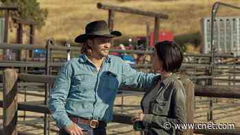 Best TV Shows to Stream in Fall 2024