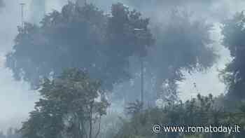 VIDEO | Incendio a Torrevecchia, le fiamme minacciano le case e un supermercato