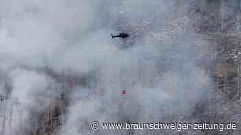Waldbrand am Brocken: Feuer breitet sich aktuell nicht weiter aus