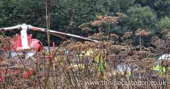 Pilot 'pulled from plane gushing out fuel' after Upminster crash