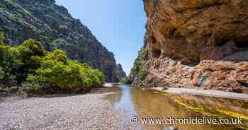 Police find second body in search for missing British man in Majorca