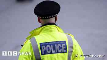 Boy and man held after suspected arson attack on home