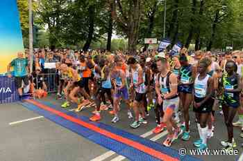 Staffelmarathon und Münster-Marathon: Läuferinnen und Läufer unterwegs