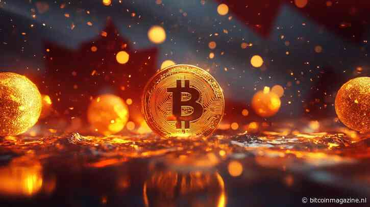 Top 3 altcoin investeringen voor wanneer BTC koers herstelt en naar $70k pumpt