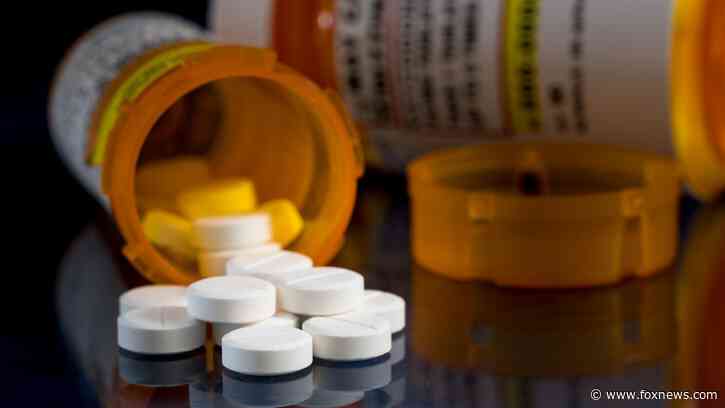 City in Florida providing $1M in opioid settlement money to nonprofits fighting opioid epidemic