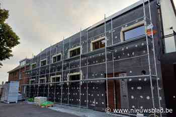 Dieven gaan aan de haal met bouwmateriaal voor gevelrenovatie van kinesist Merein (36): “Moet met grote bestelwagen gebeurd zijn”