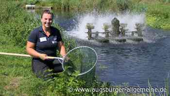 Nach der Flut im Juni hat der Fischereihof noch immer mit den Folgen zu kämpfen