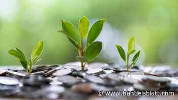 Investieren: Rendite ohne Rücksicht? Interesse an nachhaltiger Geldanlage gesunken