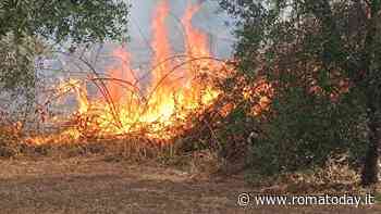 Incendi a Roma, fiamme in un golf club. Rogo anche nella zona del parco degli Acquedotti