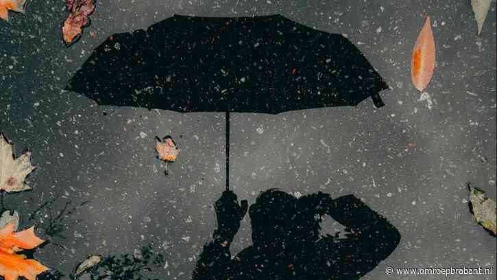 Zomerse dagen voorbij: regen en frisse temperaturen op komst