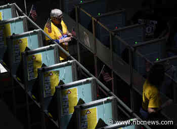 Foreign election influence campaigns have bark, but questionable bite