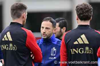 📷 Geen goed nieuws voor Rode Duivels: Basisspeler verlaat selectie met blessure
