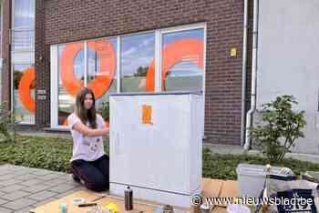 Lokale kunstenaars transformeren grijze nutskasten in kleurrijke kunstwerkjes Stabroek